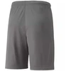 Puma teamLIGA M 704924 13 šortai