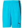 Puma teamLIGA M 704924 40 šortai