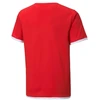 Puma teamLIGA marškinėliai Jr 704925 01