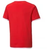 Puma teamLIGA marškinėliai Jr 704925 01