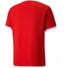 Puma teamLIGA Marškinėliai M 704917 01