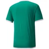 Puma teamLiga marškinėliai M 704917 05