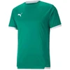 Puma teamLiga marškinėliai M 704917 05