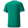 Puma teamLiga marškinėliai M 704917 05