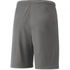 Puma teamLIGA Šortai Jauniems 704931 13