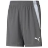 Puma teamLIGA Šortai Jauniems 704931 13