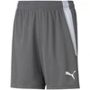 Puma teamLIGA Šortai Jauniems 704931 13