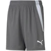 Puma teamLIGA Šortai Jauniems 704931 13