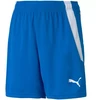 Puma teamLIGA Šortai Jr 704931 02