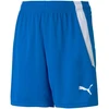 Puma teamLIGA Šortai Jr 704931 02
