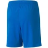 Puma teamLIGA Šortai Jr 704931 02