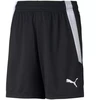Puma teamLIGA Šortai Jr 704931 03