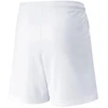Puma teamLIGA Šortai Jr 704931 04