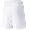 Puma teamLIGA Šortai Jr 704931 04