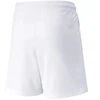 Puma teamLIGA Šortai Jr 704931 04