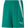 Puma teamLIGA Šortai Jr 704931 05