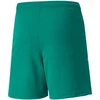 Puma teamLIGA Šortai Jr 704931 05