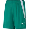 Puma teamLIGA Šortai Jr 704931 05
