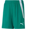 Puma teamLIGA Šortai Jr 704931 05