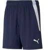Puma teamLIGA Šortai Jr 704931 06