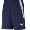 Puma teamLIGA Šortai Jr 704931 06