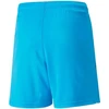 Puma teamLIGA Šortai Jr 704931 40