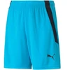 Puma teamLIGA Šortai Jr 704931 40