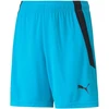 Puma teamLIGA Šortai Jr 704931 40