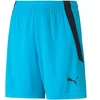 Puma teamLIGA Šortai Jr 704931 40