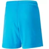 Puma teamLIGA Šortai Jr 704931 40