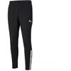 Puma teamLiga Training M 657242-03 kelnės