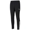 Puma teamLiga Training M 657242-03 kelnės