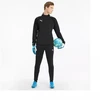 Puma teamLiga Training M 657242-03 kelnės