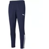 Puma teamLiga Treniruočių kelnės M 657242 06