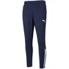 Puma teamLiga Treniruočių kelnės M 657242 06