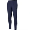 Puma teamLiga Treniruočių kelnės M 657242 06