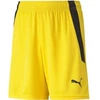 Puma teamLIGA Vaikiški Šortai 704931 07