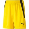 Puma teamLIGA Vaikiški Šortai 704931 07