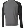 Puma teamPacer GK Jr marškinėliai 704939 43