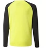 Puma teamPacer GK LS Jersey Jr 704939 42