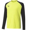 Puma teamPacer GK LS Jersey Jr 704939 42