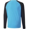 Puma teamPacer GK LS marškinėliai Jr 704939 40