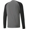 Puma teamPacer GK LS "vartininko" "bluzonas" "vyrams" M 704933 43