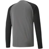 Puma teamPacer GK LS "vartininko" "bluzonas" "vyrams" M 704933 43