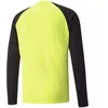 Puma TeamPACER GK LS vartininko džemperis M 704933 42