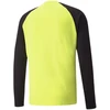 Puma TeamPACER GK LS vartininko džemperis M 704933 42