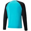 Puma TeamPACER GK LS vartininko džemperis M 704933 40