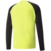 Puma TeamPACER GK LS vartininko džemperis M 704933 42