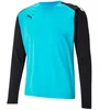 Puma TeamPACER GK LS vartininko džemperis M 704933 40