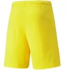 Puma teamRISE Cyber M 704942 07 šortai